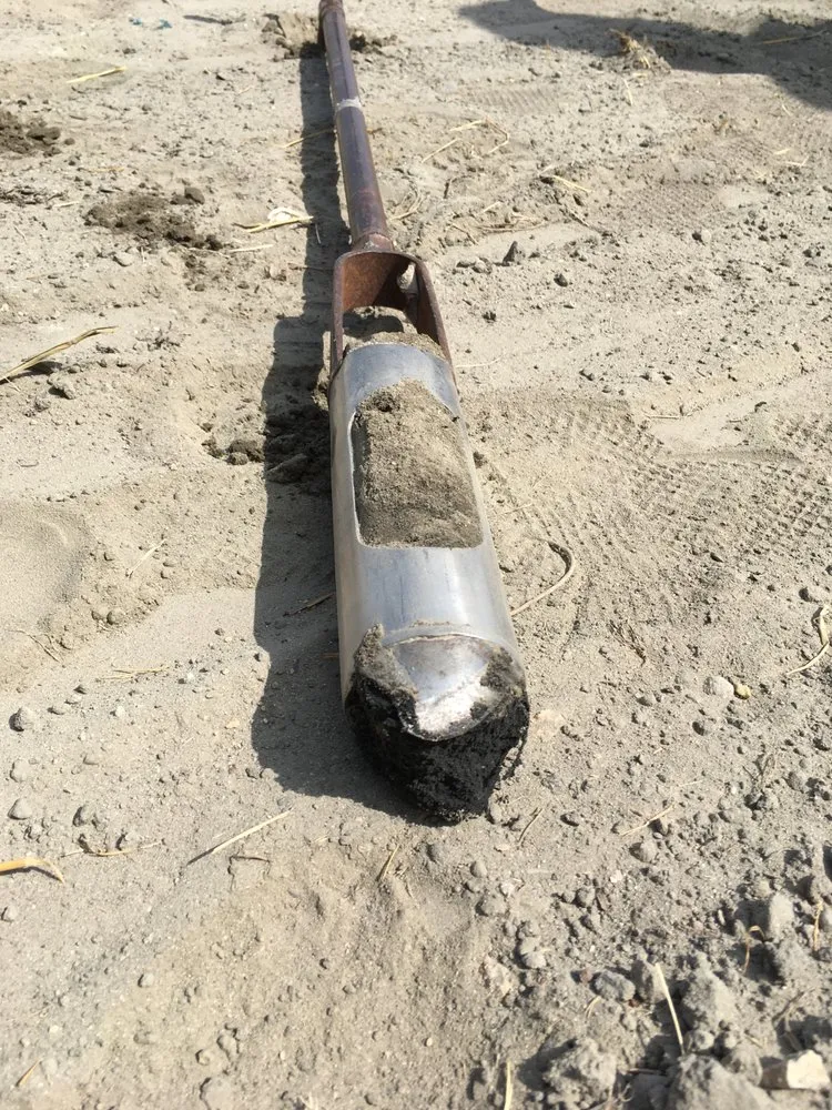 Professional residential landscaping experts serving Austin, TX - Plant Diagnostic Services