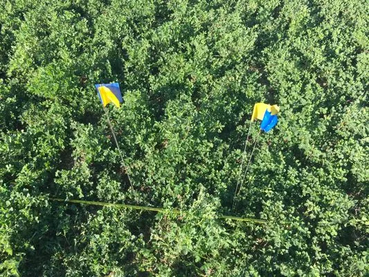 Plant Diagnostic Services Logo