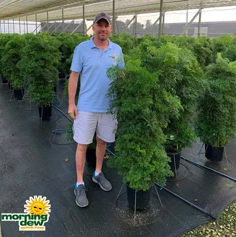 Custom landscaping services for beautiful yards across Queensbury, NY - Plant Doctor