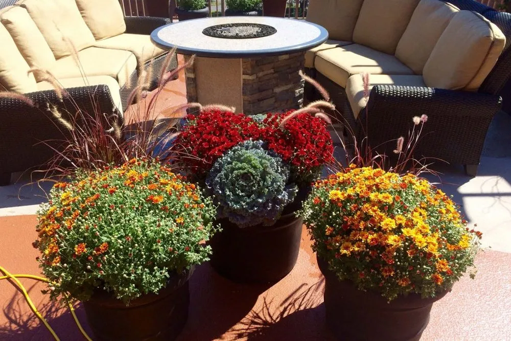 Affordable yard maintenance in Queensbury, NY - Plant Doctor