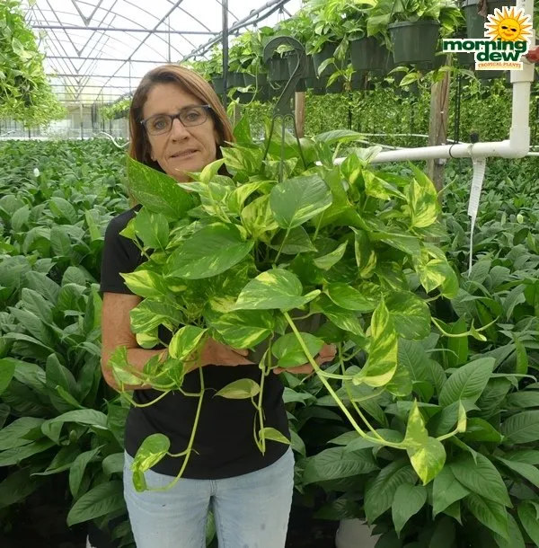 Top-rated garden landscaping in Queensbury, NY by Plant Doctor