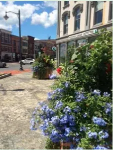 Professional landscape installation for homes in Queensbury, NY by Plant Doctor