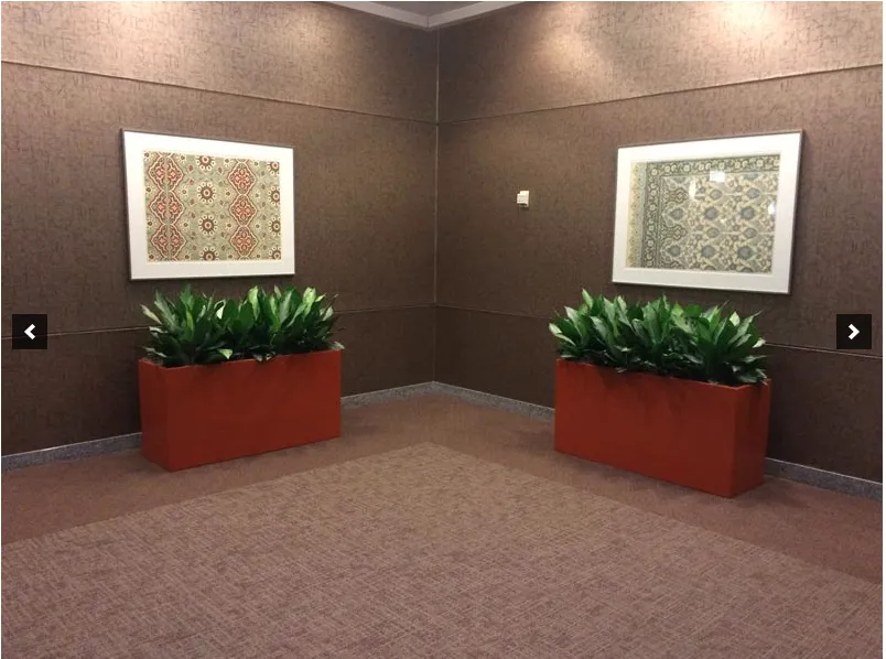 Professional landscape installation experts serving Queensbury, NY - Plant Doctor