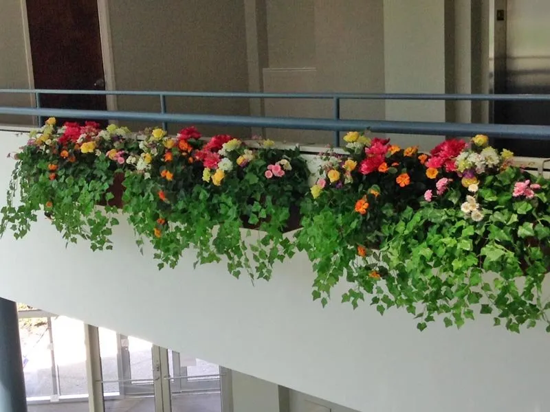 Custom lawn mowing service experts serving Queensbury, NY - Plant Doctor