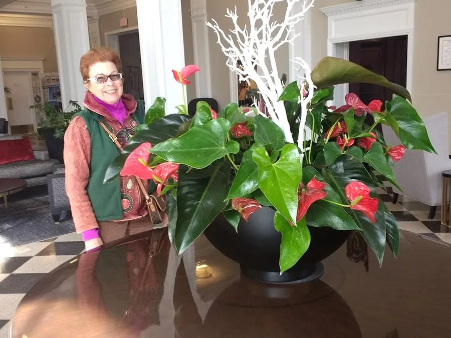 Expert outdoor landscaping in Queensbury, NY - Plant Doctor