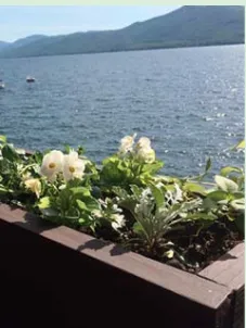 Affordable yard cleanup service experts serving Queensbury, NY - Plant Doctor