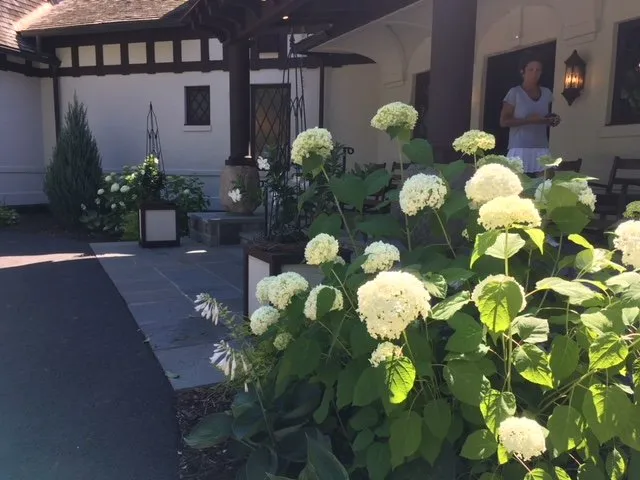 Custom landscape installation experts serving Queensbury, NY - Plant Doctor