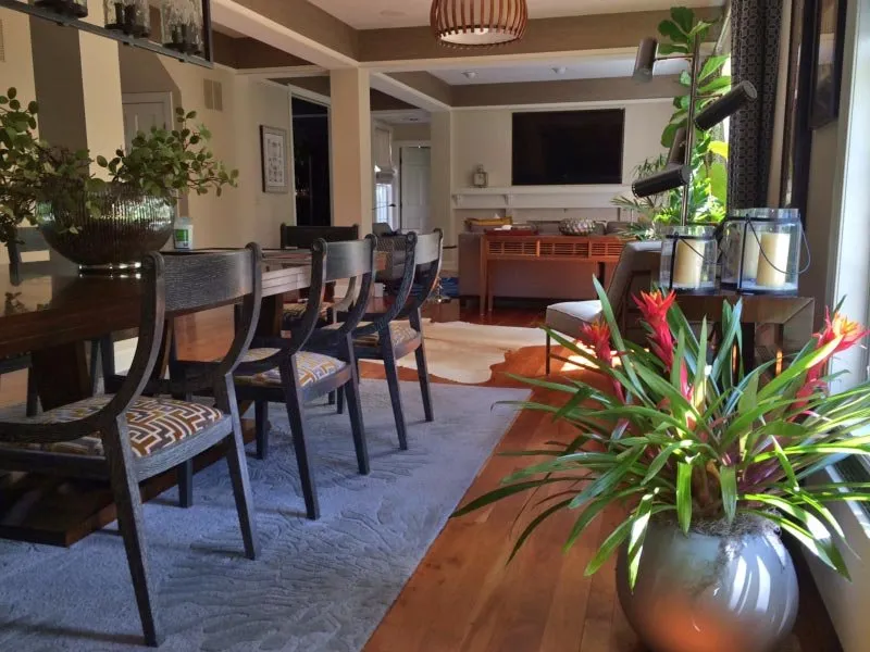 Custom lawn care service in Queensbury, NY - Plant Doctor