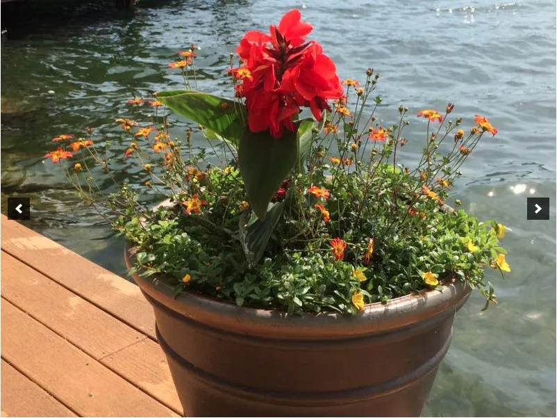 Reliable landscaping services in Queensbury, NY by Plant Doctor