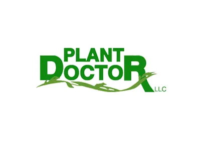 Trusted yard maintenance for year-round maintenance across Queensbury, NY - Plant Doctor