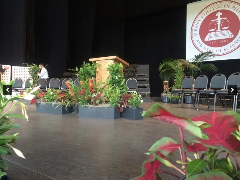 Custom lawn care service in Queensbury, NY - Plant Doctor