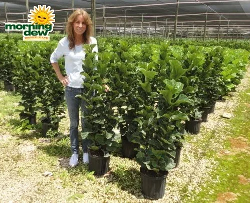 Expert landscape design with custom design across Queensbury, NY - Plant Doctor