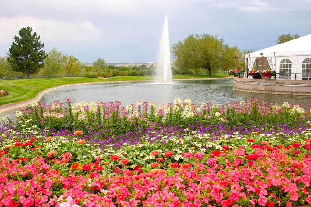 Reliable yard maintenance in Englewood, CO - Plant Escape