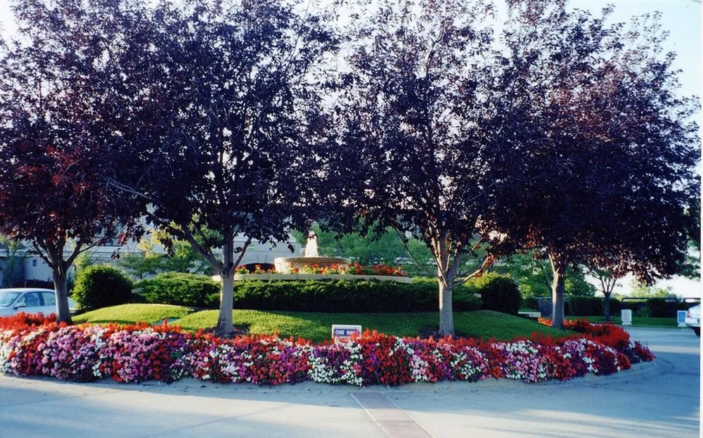 Expert lawn mowing service near you in Englewood, CO by Plant Escape