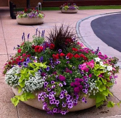 Professional outdoor landscaping in Englewood, CO - Plant Escape