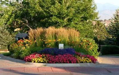 Reliable lawn care service experts serving Englewood, CO - Plant Escape