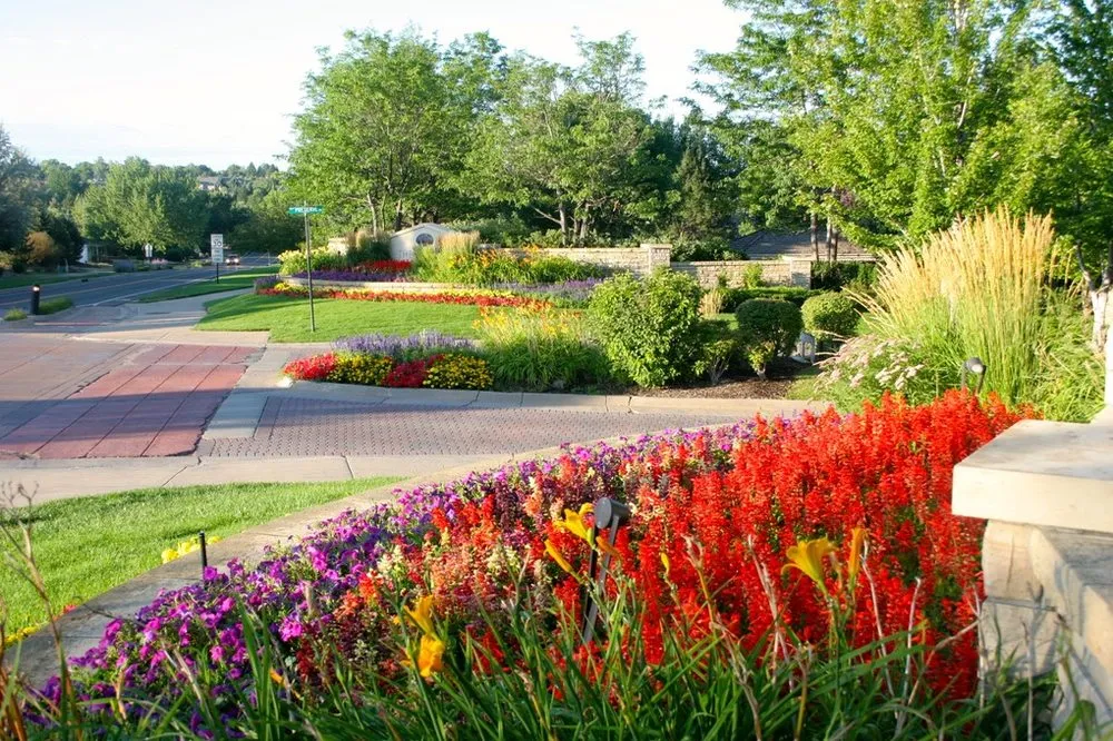 Local landscape installation near you in Englewood, CO by Plant Escape