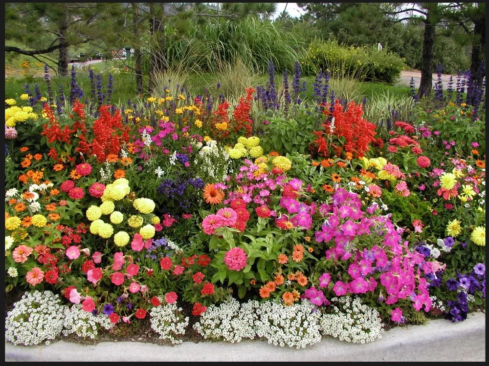 Reliable residential landscaping for homes across Englewood, CO - Plant Escape