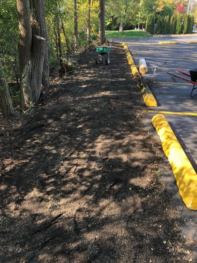 Trusted yard cleanup service in Harvard, IL - Plant Garden