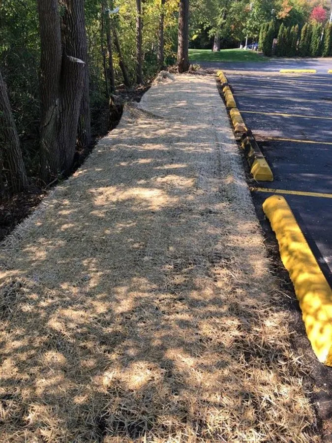 Professional residential landscaping for residential properties across Harvard, IL - Plant Garden