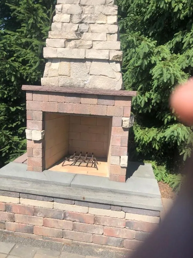 Professional yard cleanup service experts serving Harvard, IL - Plant Garden