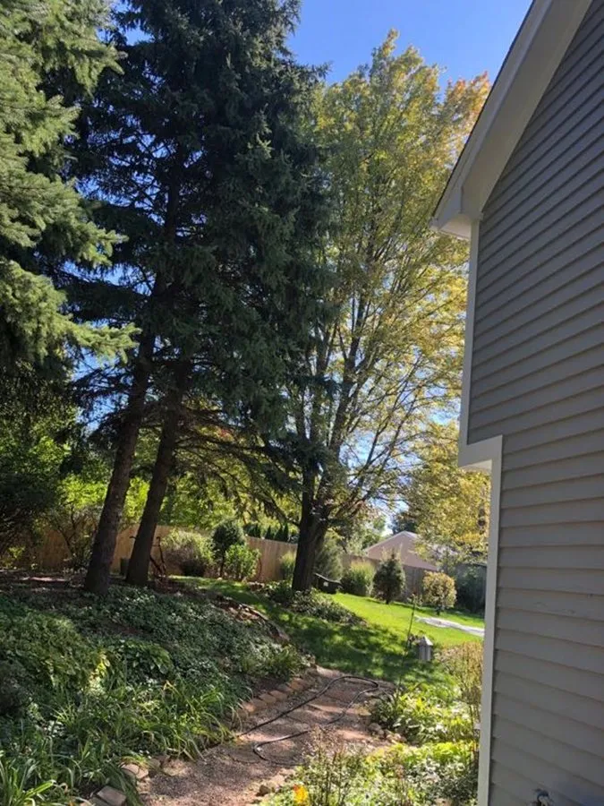 Local garden landscaping experts serving Harvard, IL - Plant Garden