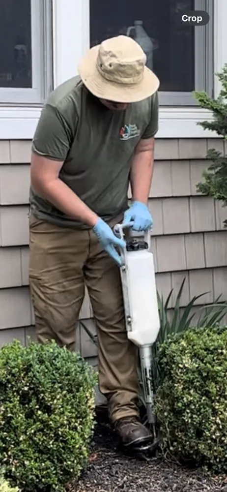 Professional landscape design for beautiful yards in Frenchtown, NJ by Plant Health Organics