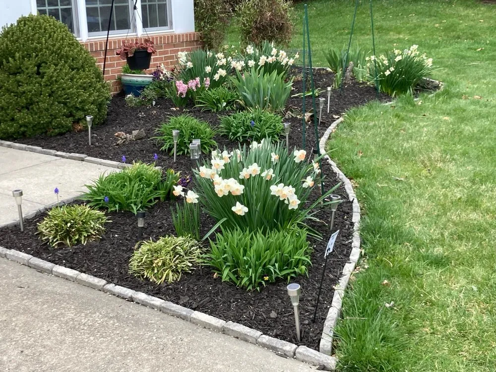 Professional landscape installation with custom design across Frenchtown, NJ - Plant Health Organics