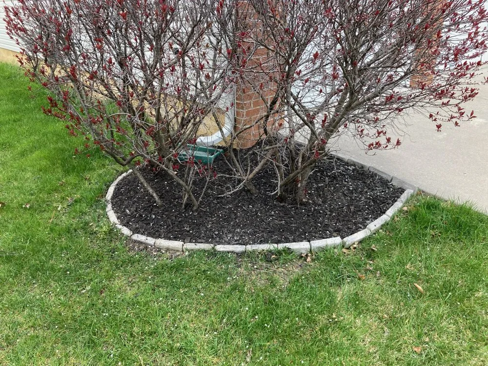 Custom landscape installation experts serving Frenchtown, NJ - Plant Health Organics