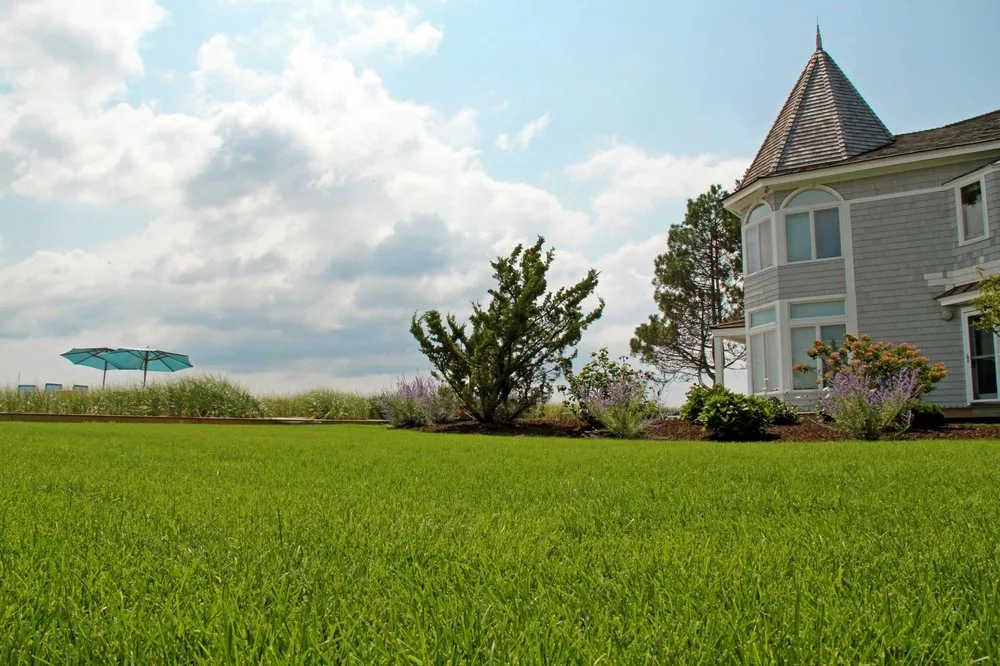 Local lawn care service in Bridgeport, CT by Plant Health Service