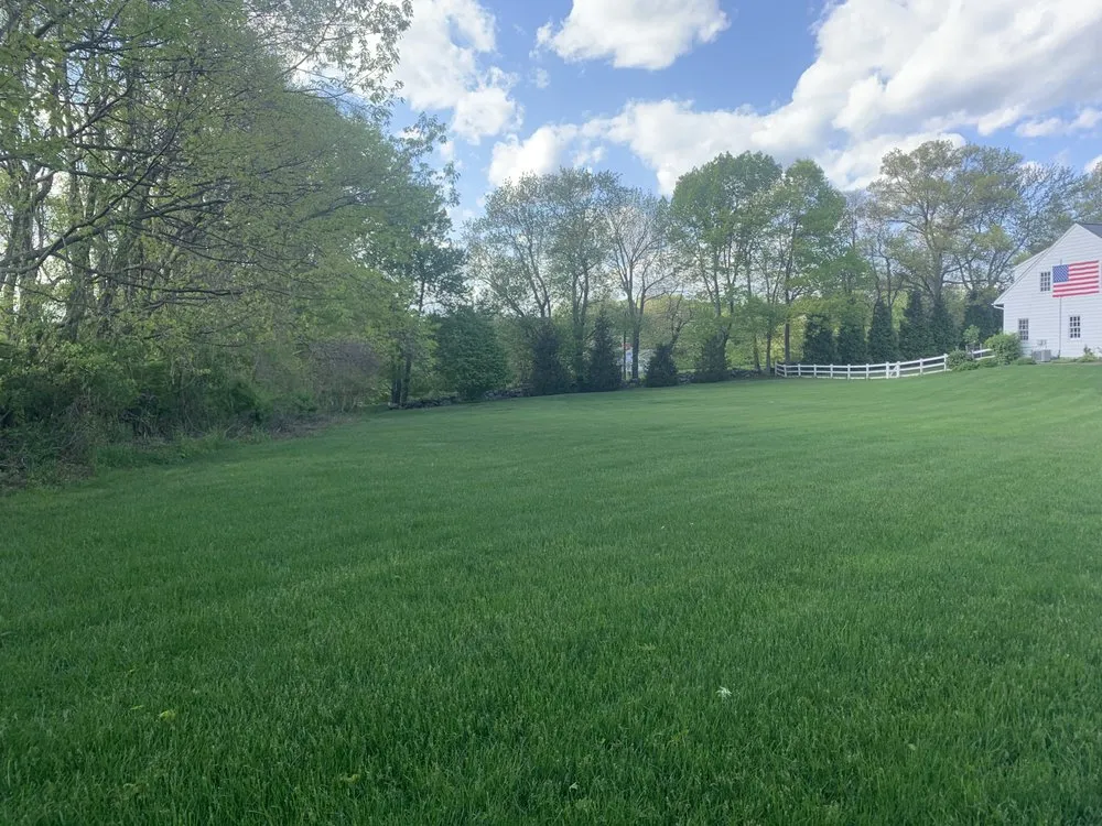 Trusted yard maintenance for residential properties in Bridgeport, CT by Plant Health Service