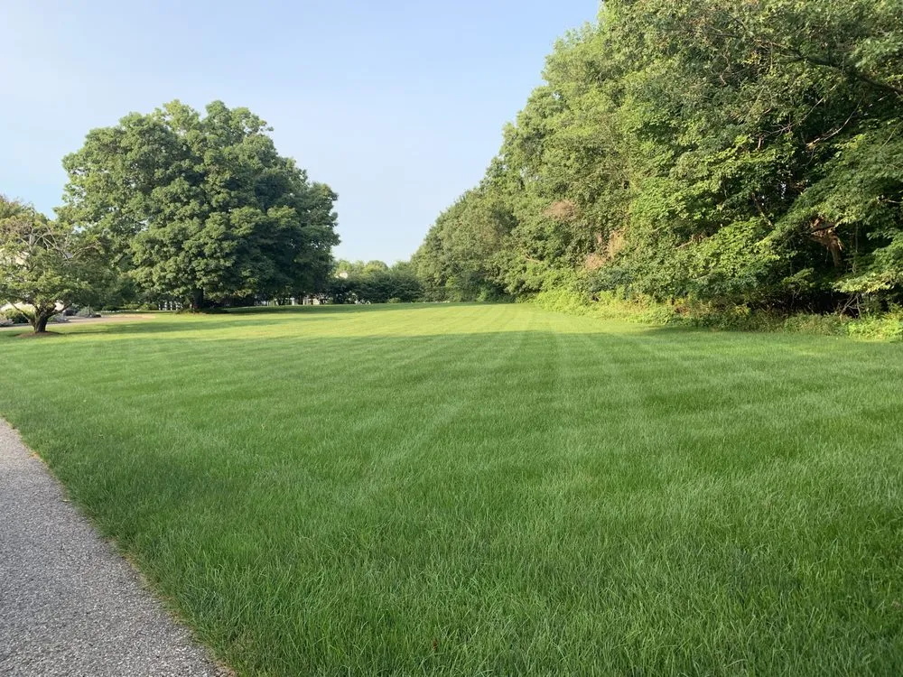 Expert lawn care service for residential properties across Bridgeport, CT - Plant Health Service