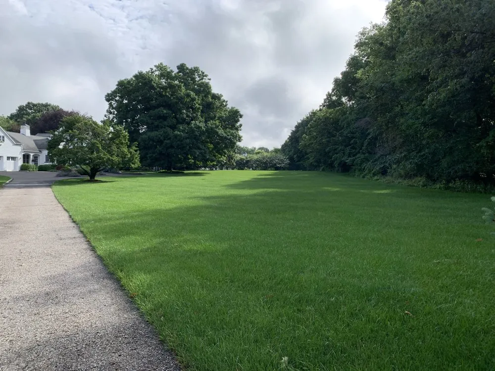 Affordable yard cleanup service in Bridgeport, CT - Plant Health Service