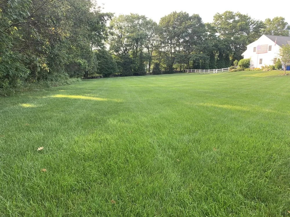 Affordable landscape design experts serving Bridgeport, CT - Plant Health Service