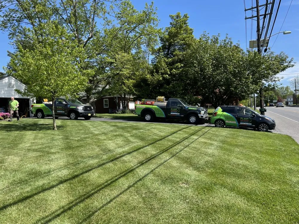 Top-rated residential landscaping experts serving Medford, NJ - Plant Healthcare Solutions