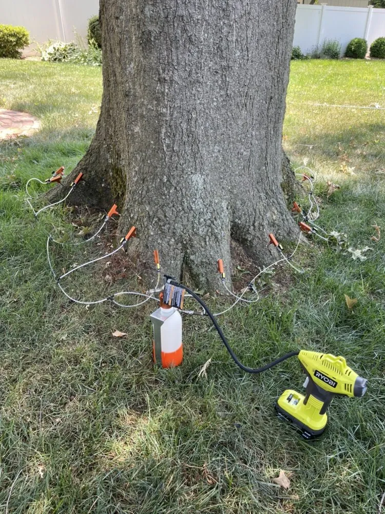 Affordable landscaping services in Medford, NJ by Plant Healthcare Solutions