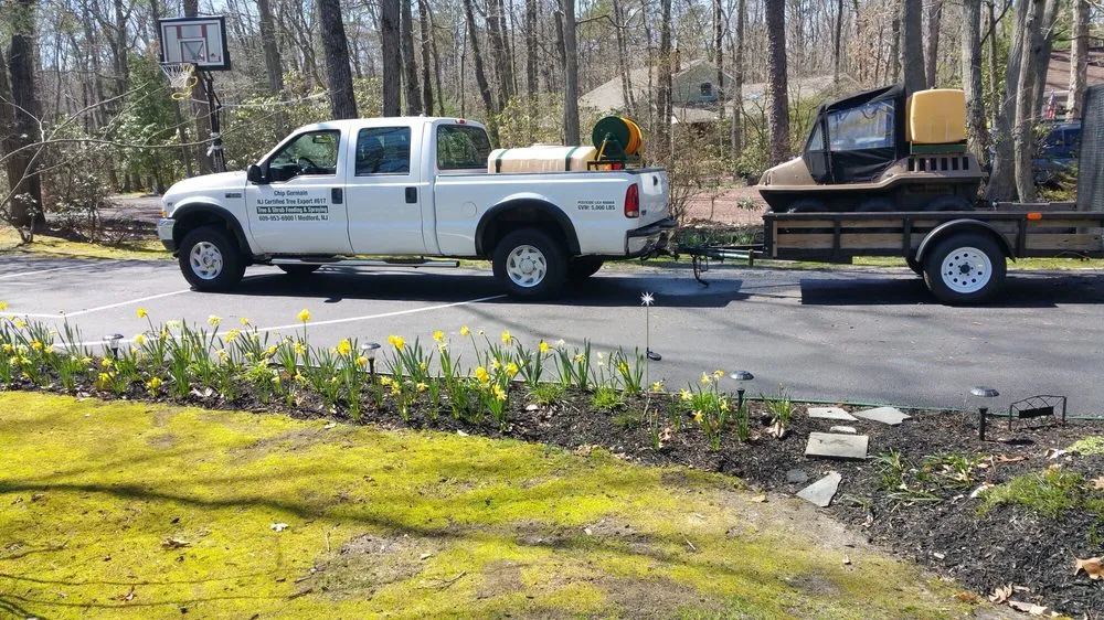 Custom residential landscaping experts serving Medford, NJ - Plant Healthcare Solutions