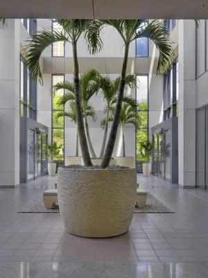 Plant Interscapes Logo