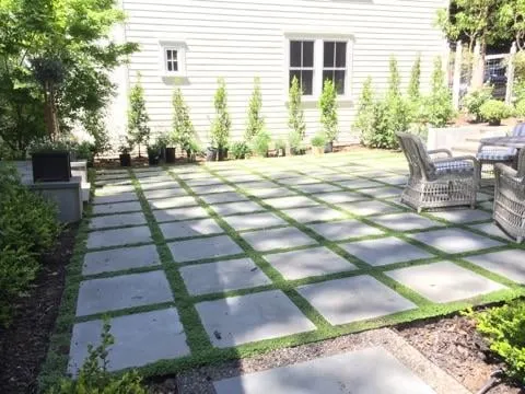 Expert lawn care service in San Francisco, CA - Plant-Ish