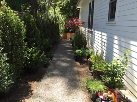 Reliable yard maintenance near you in San Francisco, CA by Plant-Ish