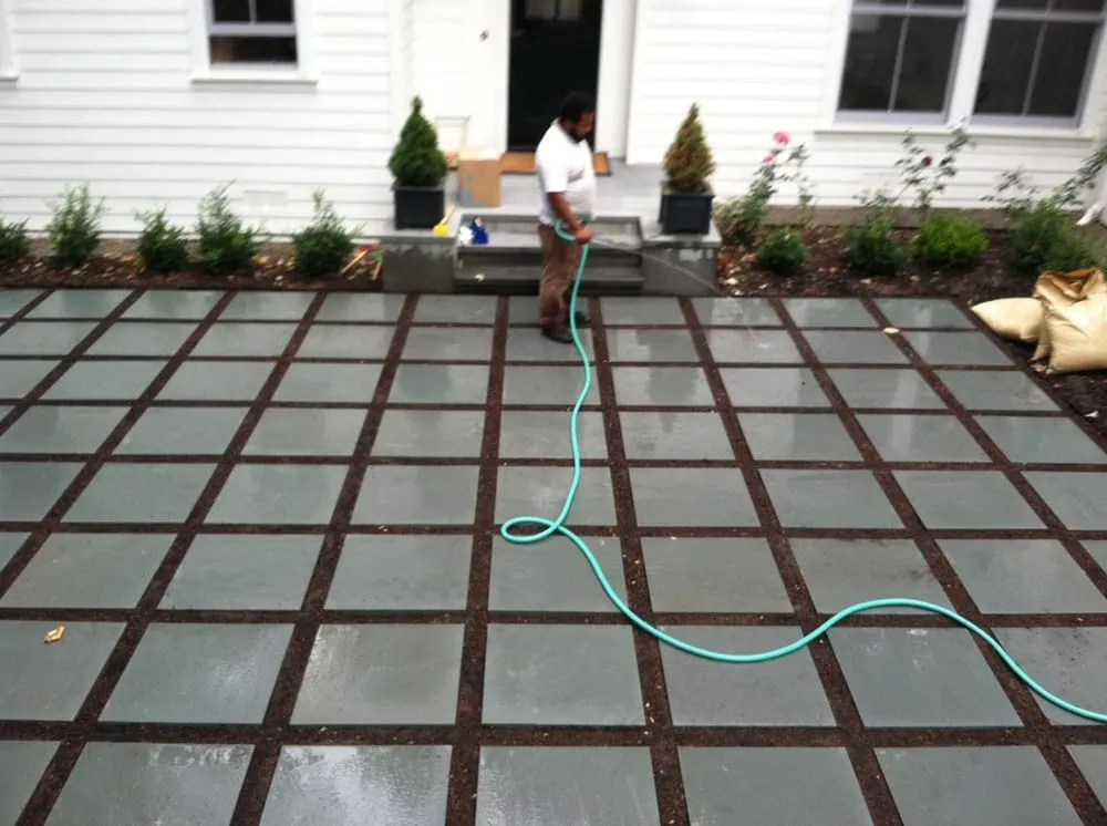 Top-rated yard cleanup service in San Francisco, CA - Plant-Ish