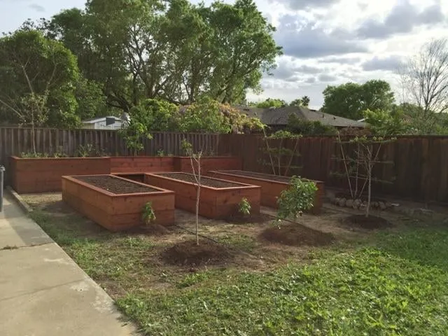 Trusted lawn care service for beautiful yards in San Francisco, CA by Plant-Ish