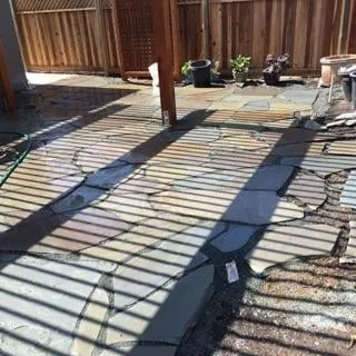 Reliable yard maintenance experts serving San Francisco, CA - Plant-Ish
