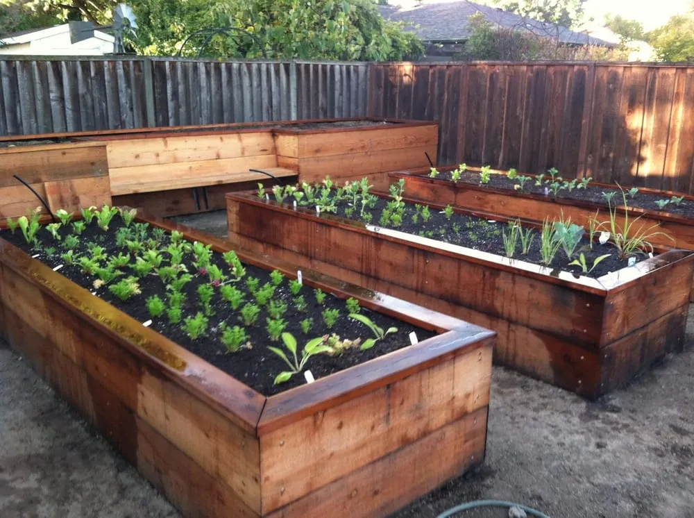 Expert landscape design with custom design in San Francisco, CA by Plant-Ish