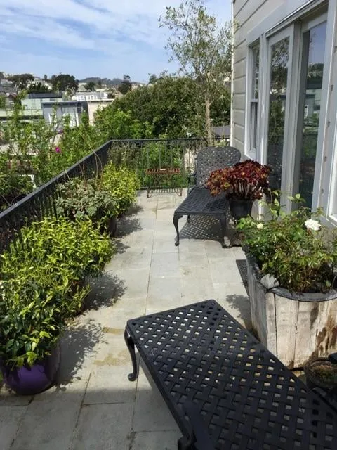 Affordable lawn mowing service in San Francisco, CA - Plant-Ish