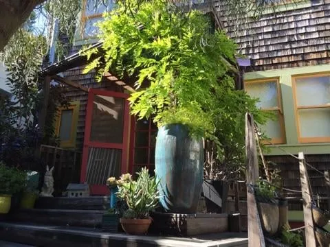 Affordable lawn care service in San Francisco, CA by Plant-Ish