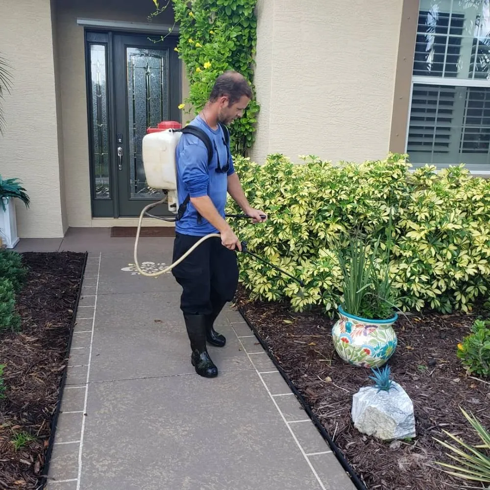 Custom landscape design in Bradenton, FL - Plant It Earth | Bradenton