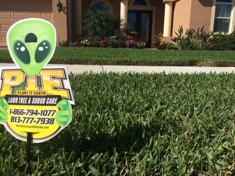 Affordable landscaping services for outdoor upgrades in Bradenton, FL by Plant It Earth | Bradenton