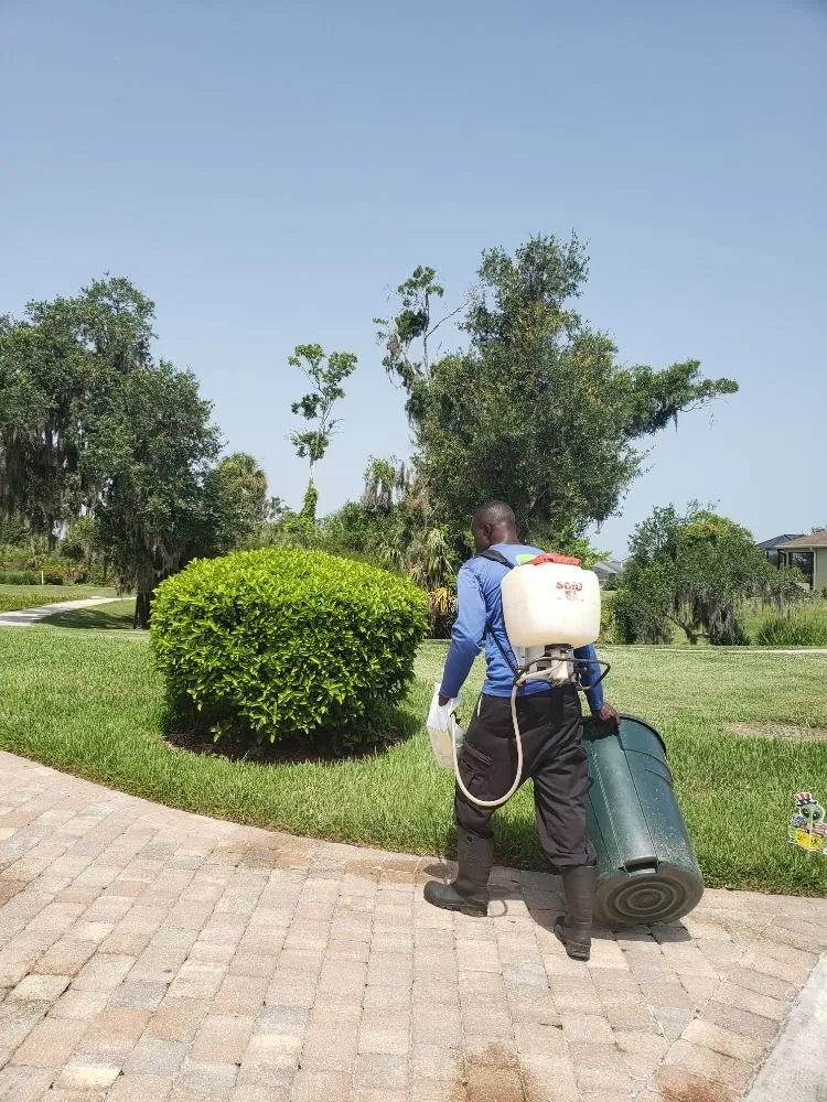 Reliable yard maintenance experts serving Bradenton, FL - Plant It Earth | Bradenton