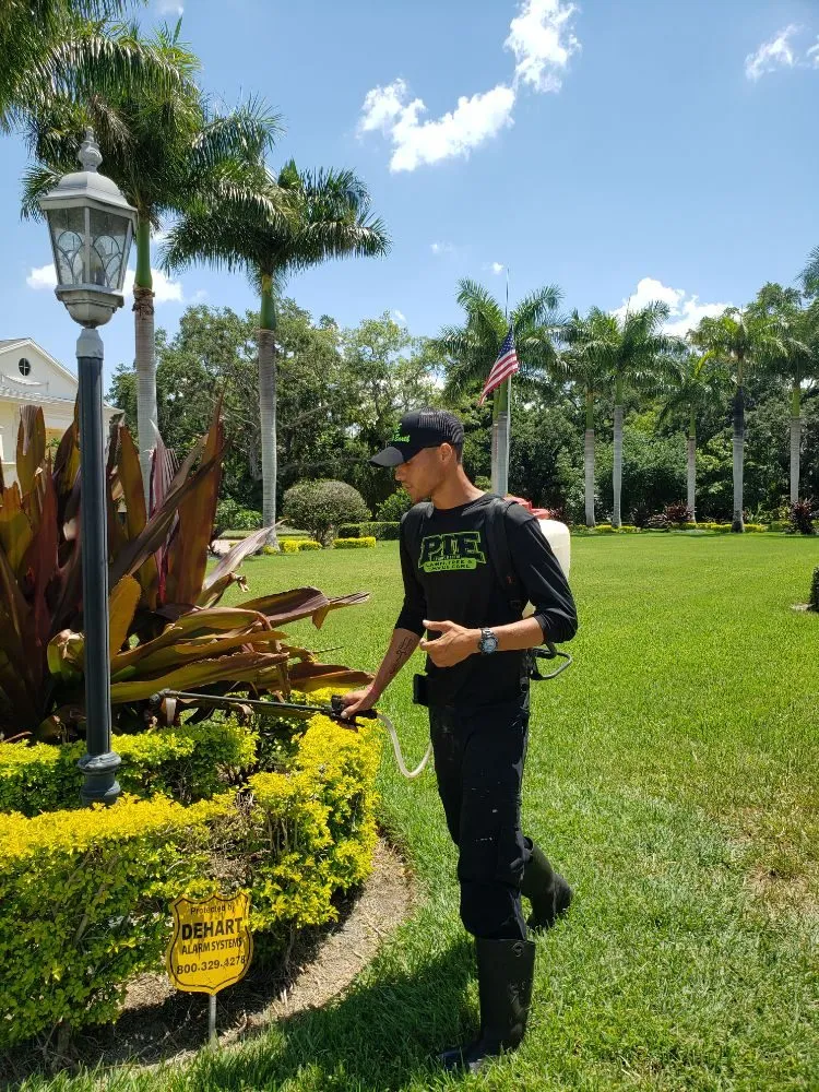 Professional garden landscaping in Bradenton, FL - Plant It Earth | Bradenton